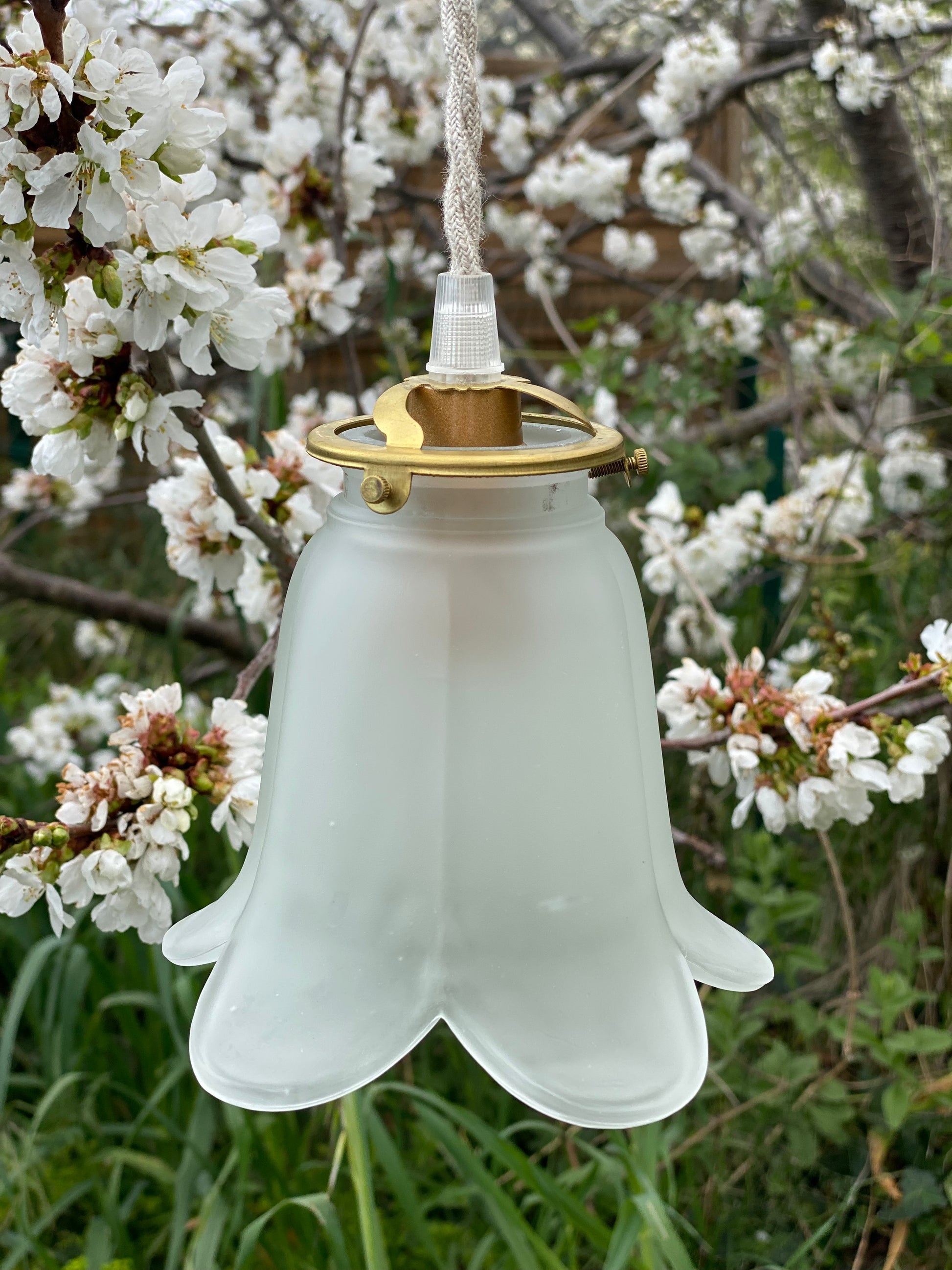 Lampe baladeuse fleur